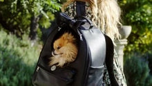 Load and play video in Gallery viewer, Vanderpump Classic Pet Backpack - Black