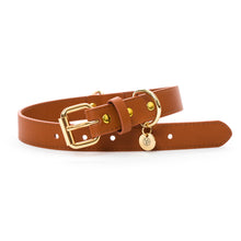 Load image into Gallery viewer, VP Pets Classic Ken Collar - Brown - Vanderpump Pets