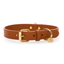 Load image into Gallery viewer, VP Pets Classic Ken Collar - Brown - Vanderpump Pets