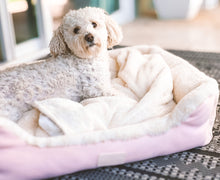 Load image into Gallery viewer, VP Pets Pink Bed - Vanderpump Pets