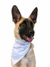 Load image into Gallery viewer, Hamptons Reversible Collar Bandana (Blue Stripe / Navy Anchors) - Vanderpump Pets