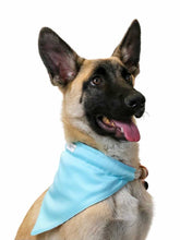 Load image into Gallery viewer, Happy Birthday Collar Bandana - Vanderpump Pets