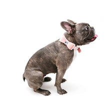 Load image into Gallery viewer, VP Pets Darling Diamond Velvet Bow Tie Collar- Pink - Vanderpump Pets