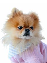 Load image into Gallery viewer, Hamptons Reversible Collar Bandana (Blue Stripe / Navy Anchors) - Vanderpump Pets