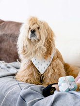 Load image into Gallery viewer, Hamptons Reversible Collar Bandana (Blue Stripe / Navy Anchors) - Vanderpump Pets