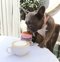 Load image into Gallery viewer, Puppuccino - Vanderpump Pets