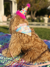Load image into Gallery viewer, Happy Birthday Collar Bandana - Vanderpump Pets