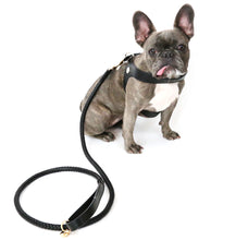 Load image into Gallery viewer, VP Pets Black Harness - Vanderpump Pets
